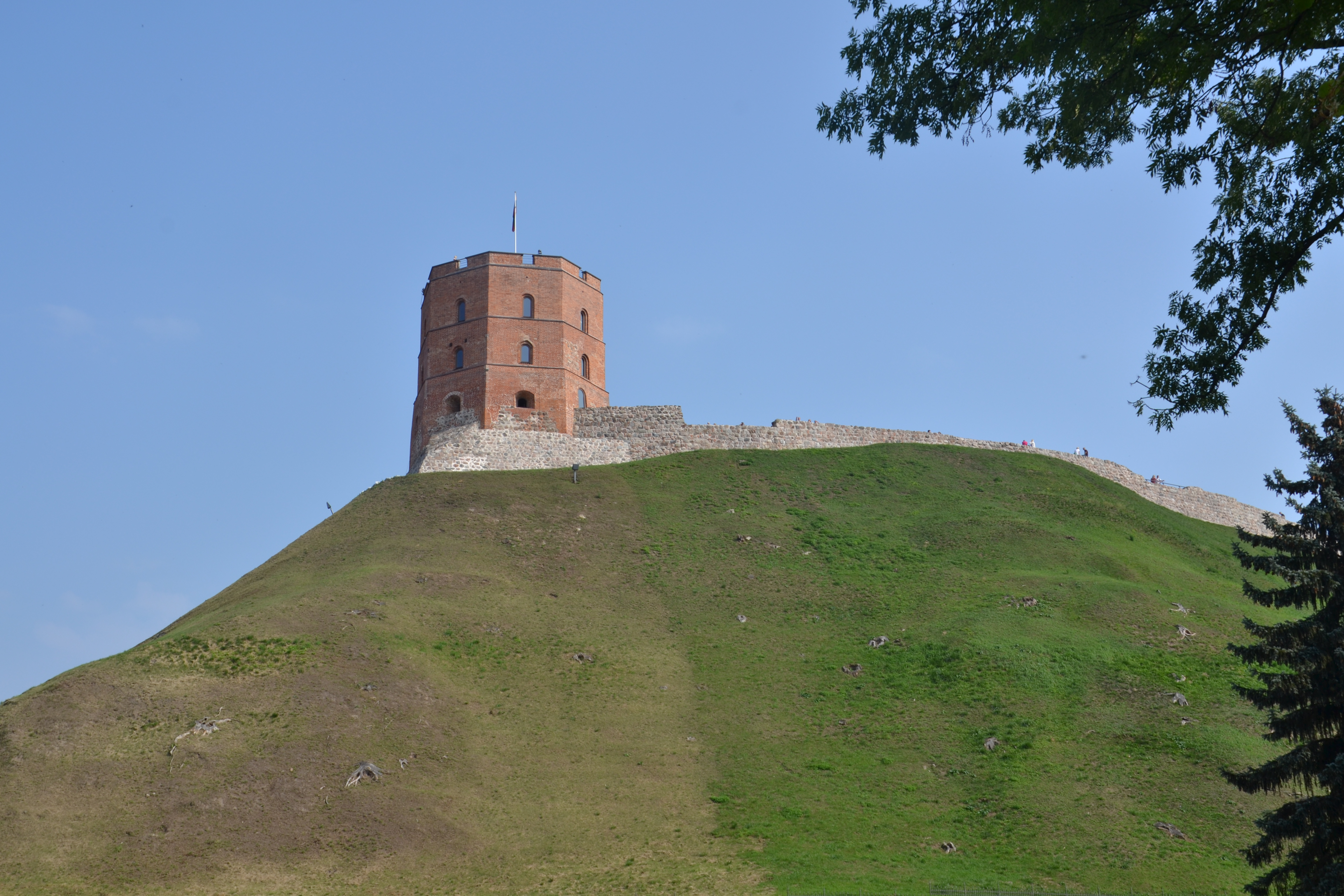 dsc_0696
